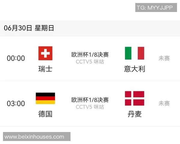 欧洲杯赛事安全管理及突发事件应对